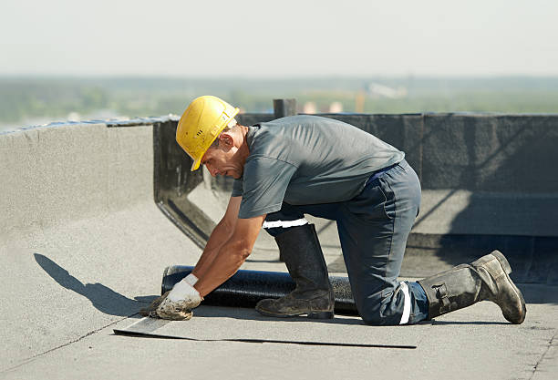 Best Geographic-Specific Insulation Services in Belleair Bluffs, FL