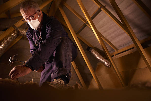 Types of Insulation We Offer in Belleair Bluffs, FL